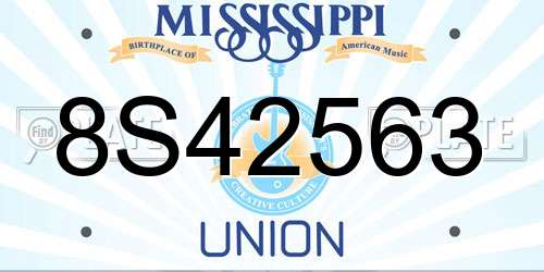 8S42563 Mississippi License Plate