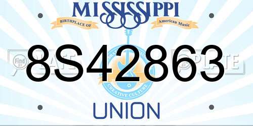 8S42863 Mississippi License Plate