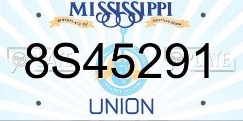 8S45291 Mississippi License Plate