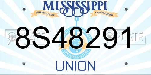 8S48291 Mississippi License Plate