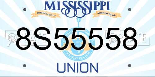 8S55558 Mississippi License Plate