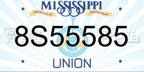 8S55585 Mississippi License Plate
