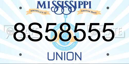 8S58555 Mississippi License Plate