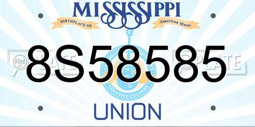 8S58585 Mississippi License Plate