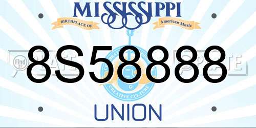 8S58888 Mississippi License Plate