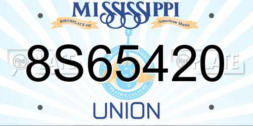 8S65420 Mississippi License Plate