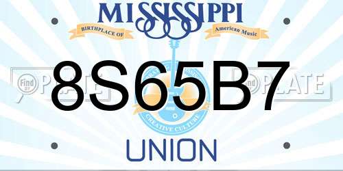 8S65B7 Mississippi License Plate