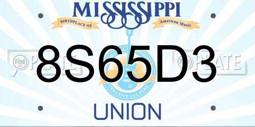 8S65D3 Mississippi License Plate