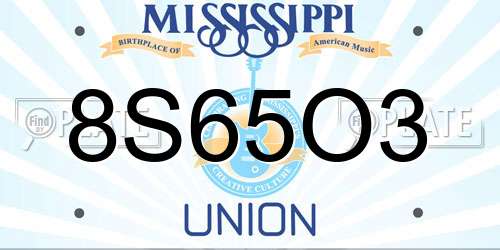 8S65O3 Mississippi License Plate
