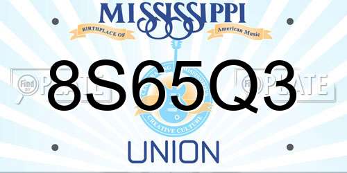 8S65Q3 Mississippi License Plate