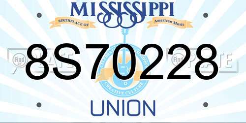 8S70228 Mississippi License Plate