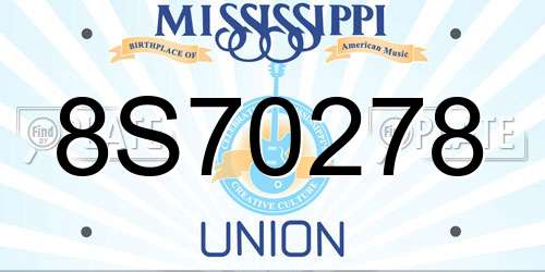 8S70278 Mississippi License Plate