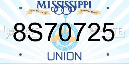 8S70725 Mississippi License Plate