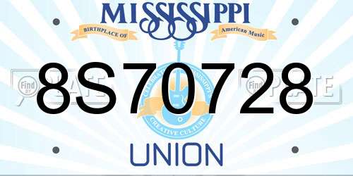8S70728 Mississippi License Plate