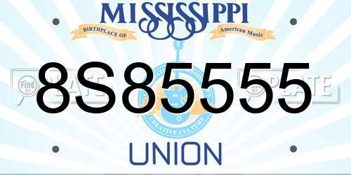8S85555 Mississippi License Plate
