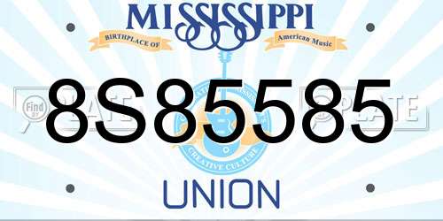 8S85585 Mississippi License Plate