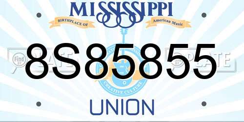 8S85855 Mississippi License Plate