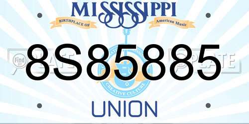 8S85885 Mississippi License Plate
