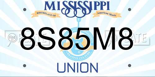 8S85M8 Mississippi License Plate