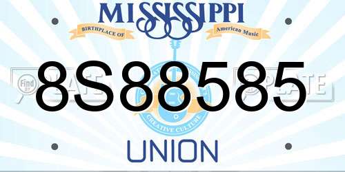 8S88585 Mississippi License Plate