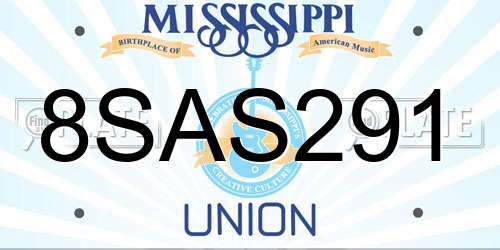 8SAS291 Mississippi License Plate