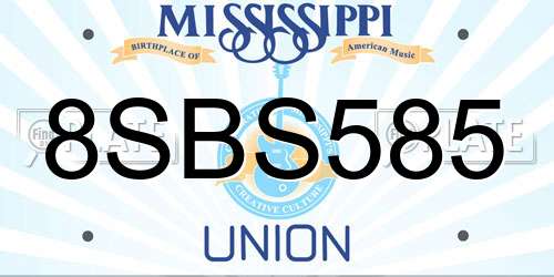 8SBS585 Mississippi License Plate
