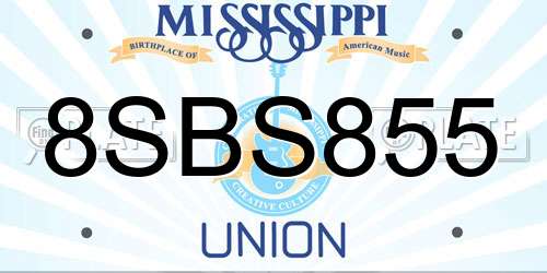 8SBS855 Mississippi License Plate