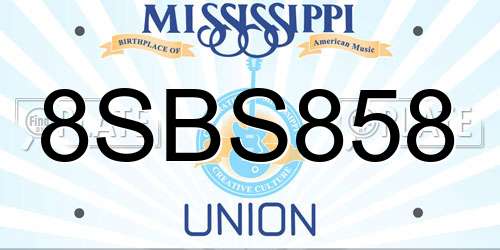 8SBS858 Mississippi License Plate
