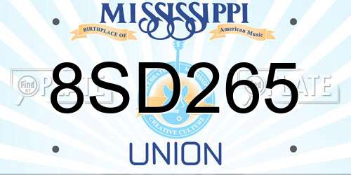 8SD265 Mississippi License Plate