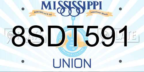 8SDT591 Mississippi License Plate