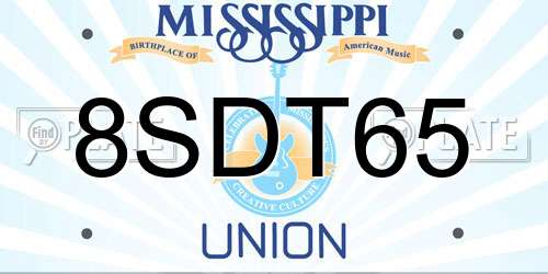 8SDT65 Mississippi License Plate