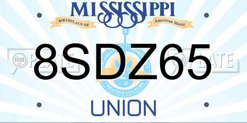 8SDZ65 Mississippi License Plate