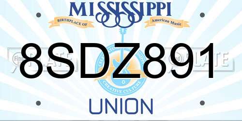 8SDZ891 Mississippi License Plate
