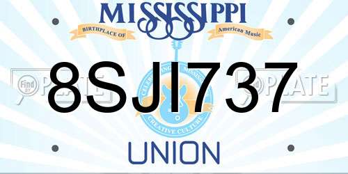 8SJI737 Mississippi License Plate