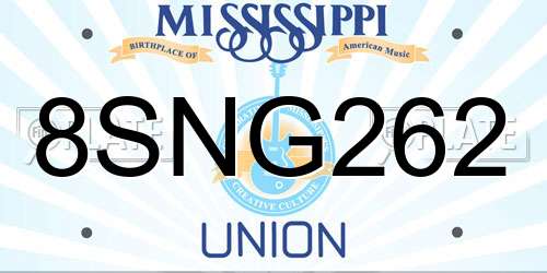 8SNG262 Mississippi License Plate