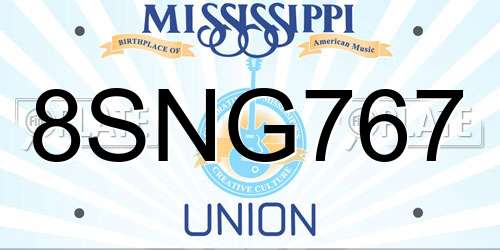 8SNG767 Mississippi License Plate