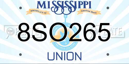 8SO265 Mississippi License Plate