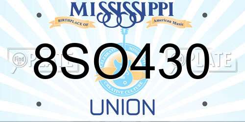 8SO430 Mississippi License Plate