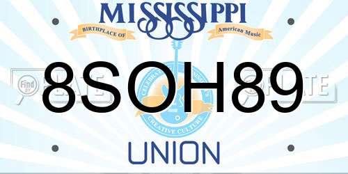 8SOH89 Mississippi License Plate