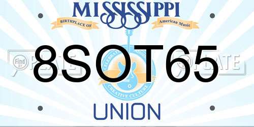 8SOT65 Mississippi License Plate