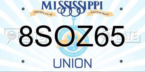8SOZ65 Mississippi License Plate