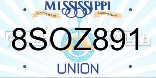 8SOZ891 Mississippi License Plate