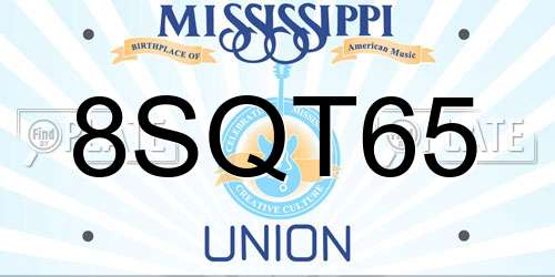 8SQT65 Mississippi License Plate