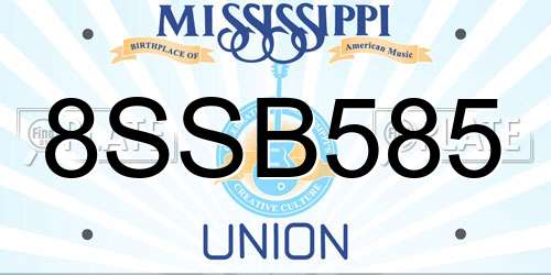 8SSB585 Mississippi License Plate