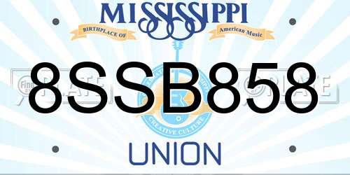 8SSB858 Mississippi License Plate