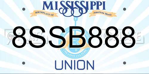 8SSB888 Mississippi License Plate