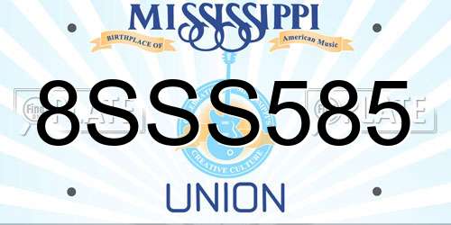 8SSS585 Mississippi License Plate