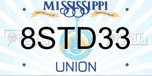 8STD33 Mississippi License Plate
