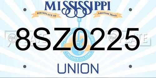 8SZ0225 Mississippi License Plate