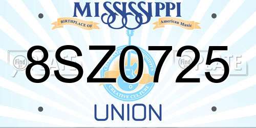 8SZ0725 Mississippi License Plate